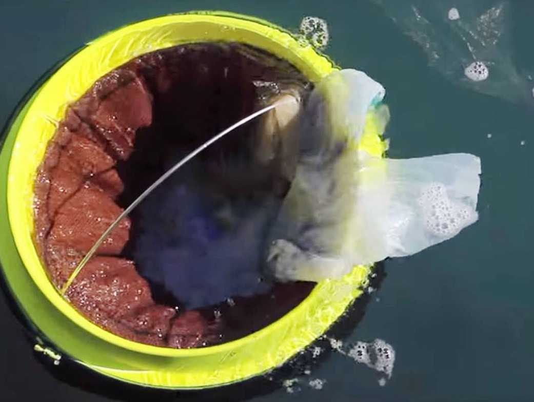 The seabin project : la poubelle qui nettoie les oceans