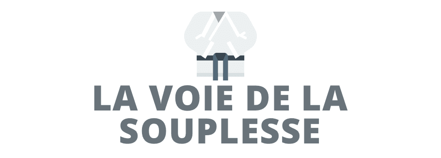 Mémo, gestion du leadership en atelier