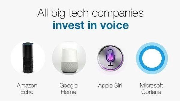 Voice User Interface Design en 2018